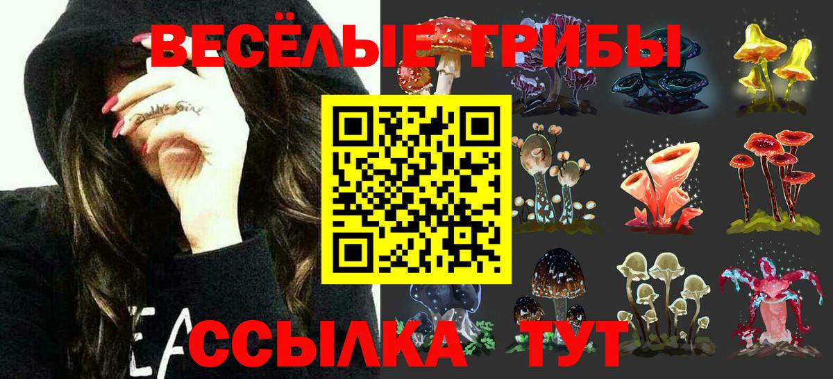Галлюциногенные грибы ЛСД Моршанск