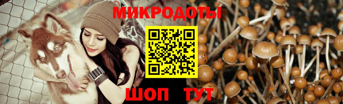 Галлюциногенные грибы ЛСД  Моршанск 